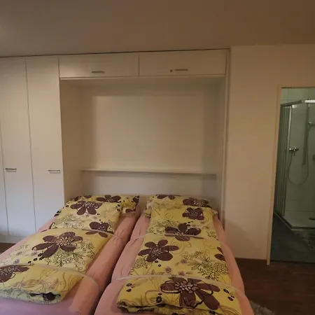 Hertistrasse 1 17 *