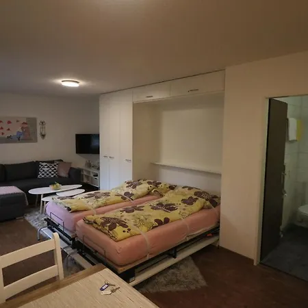 Hertistrasse 1 17